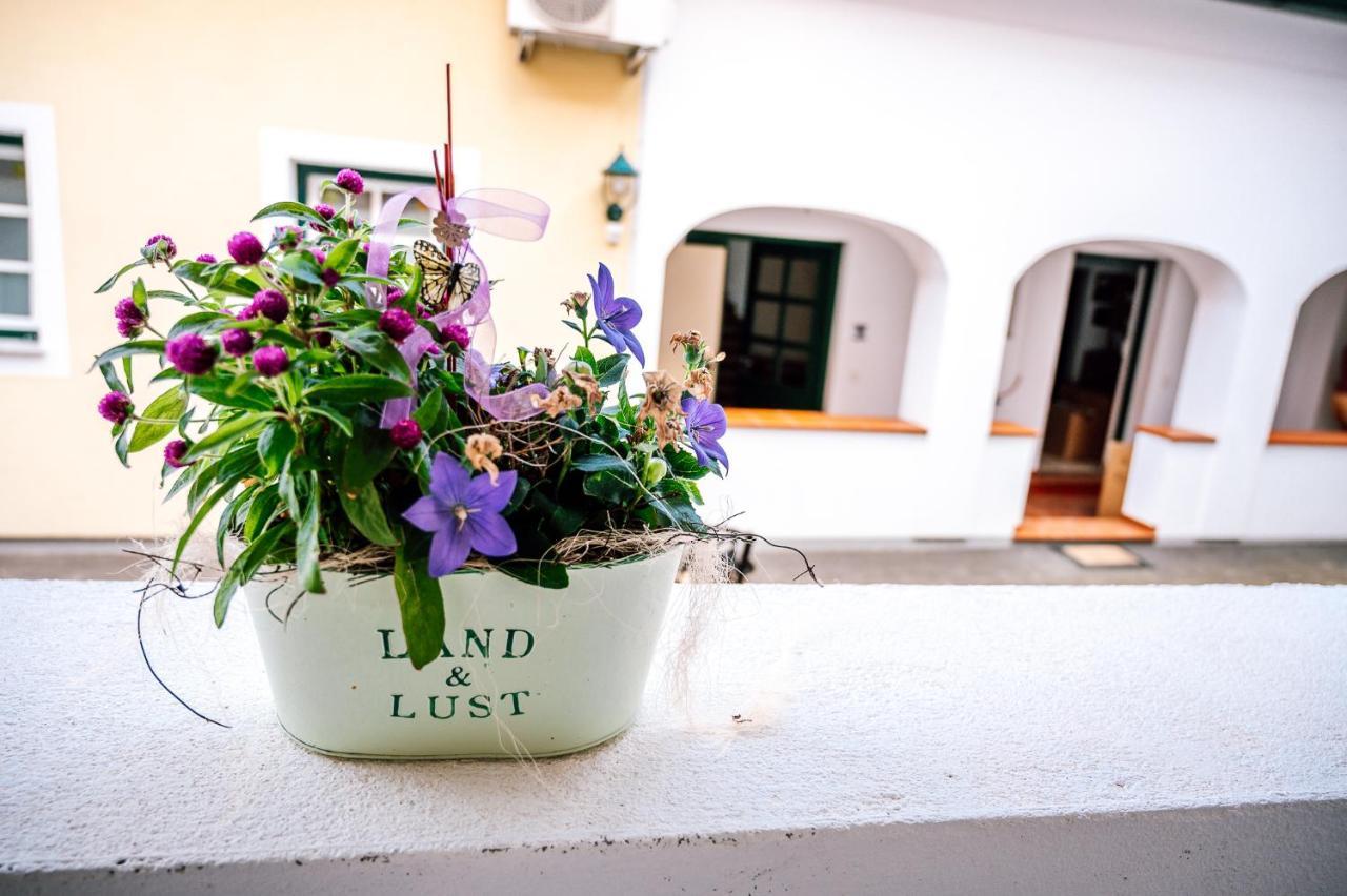 Landhaus Dasthomas Henndorf im Burgenland エクステリア 写真